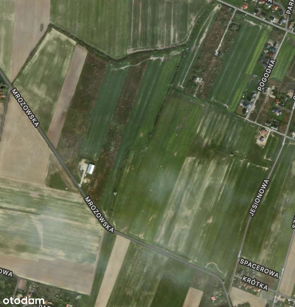 Działka inwestycyjna z ogromnym potencjałem - Pełny obrazek: 5/5