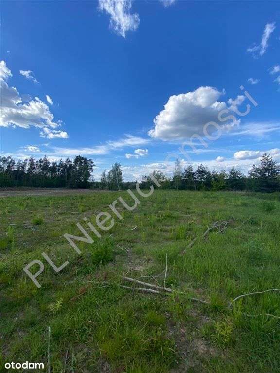 2,8 ha zabudowa wolnostojąca lub bliźniacza ! - Pełny obrazek: 4/9