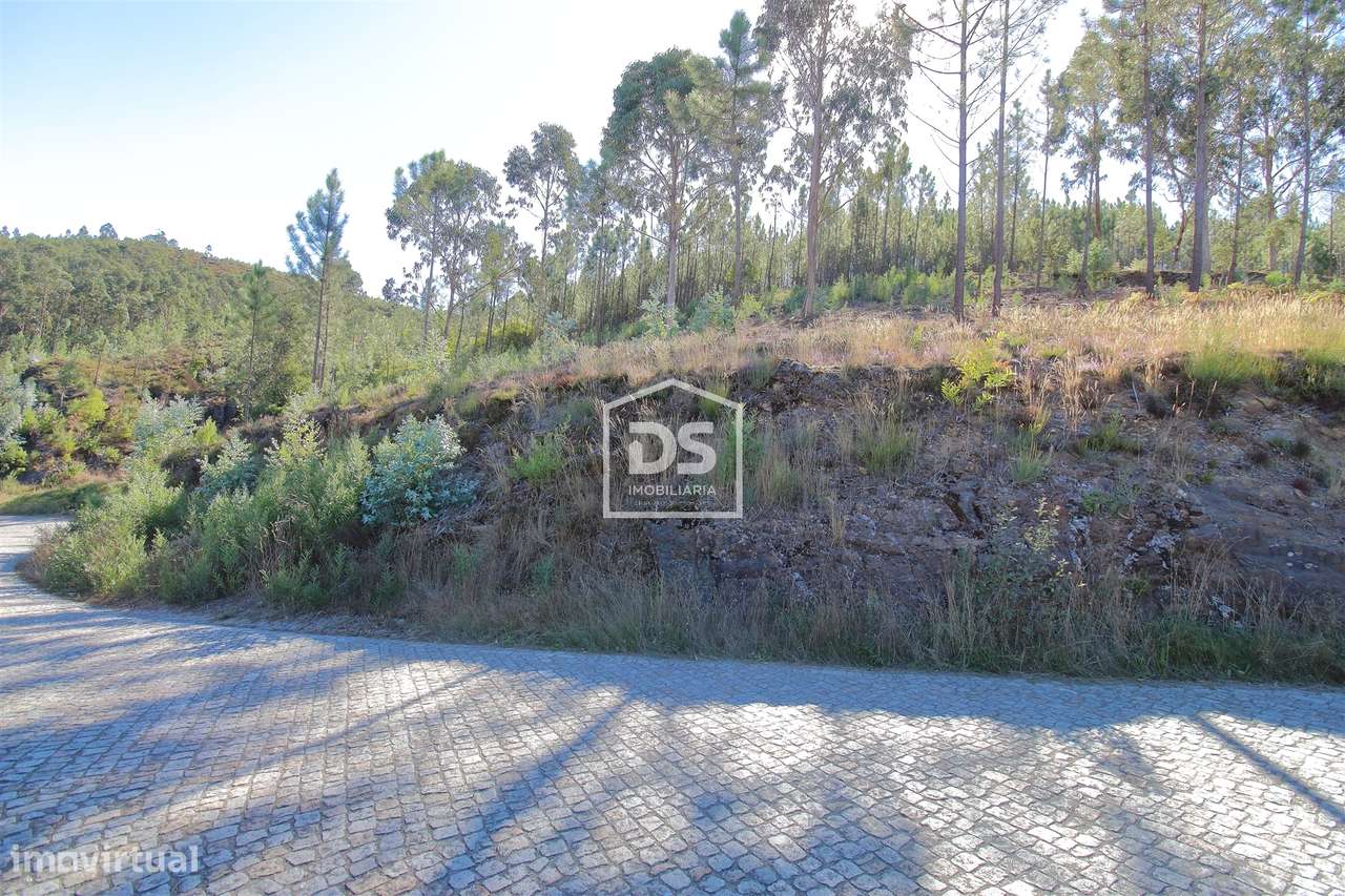 Terreno  Venda em Sobreira,Paredes - Grande imagem: 4/8