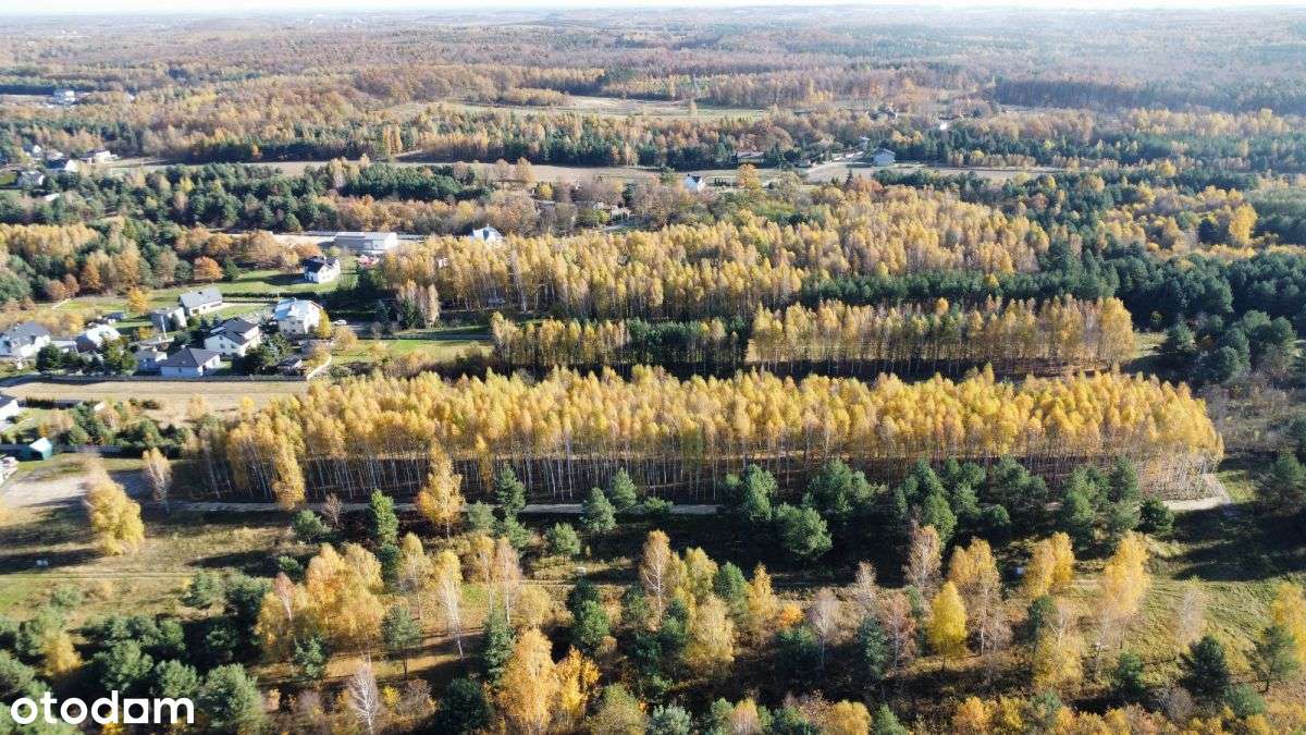 Uzbrojone działki budowlane/Częstochowa, Mirów - Pełny obrazek: 4/6