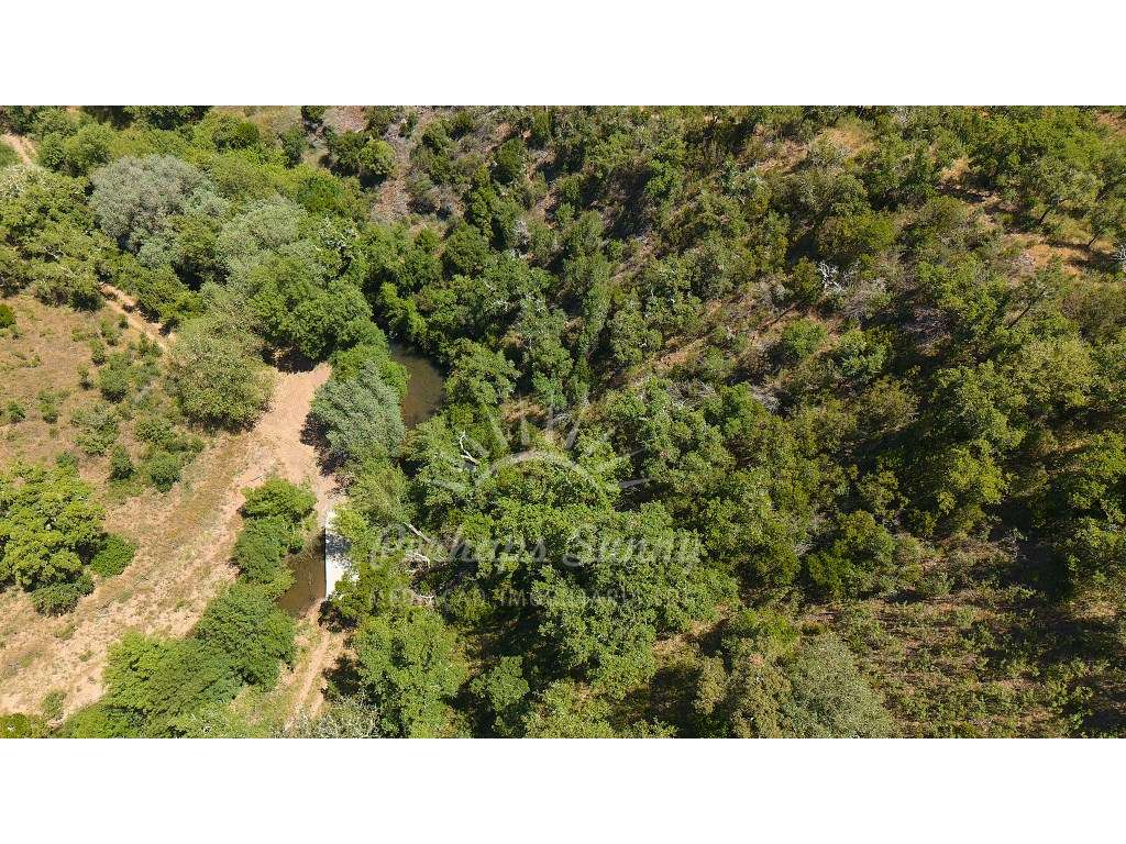 Propriedade Rústica de Montado com Ribeira | 22,6 Hectares | Serra ...-22
