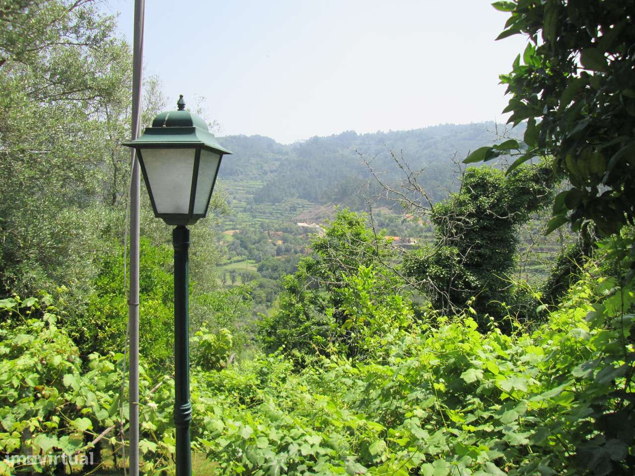 Quintinha no Minho Ponte de Lima * 10.000 m2 * a 90 Km do Porto-30