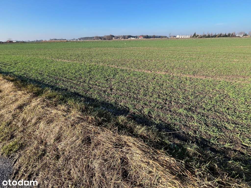 działki przeznaczone pod zabudowę jednorodzinną - Pełny obrazek: 2/7