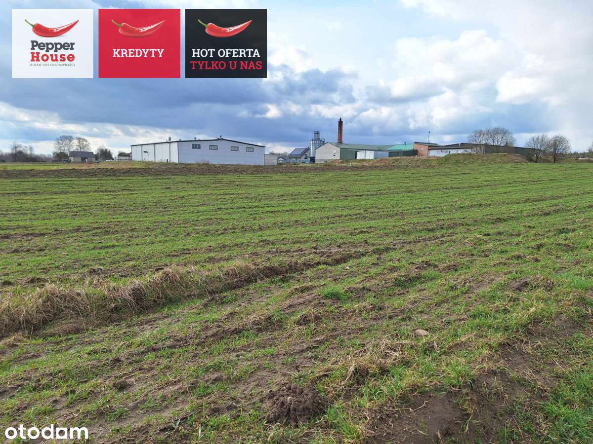 Działka inwestycyjna w pobliżu trasy S6! - Pełny obrazek: 5/5