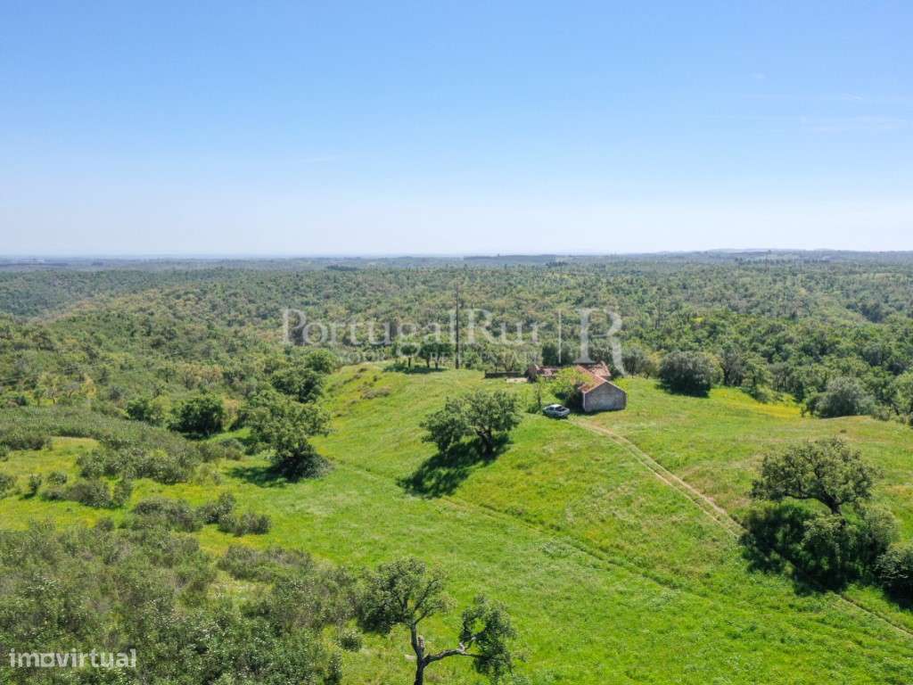 Herdade com 85 ha com viabilidade turística, a 15 km de Melides - Grande imagem: 2/11