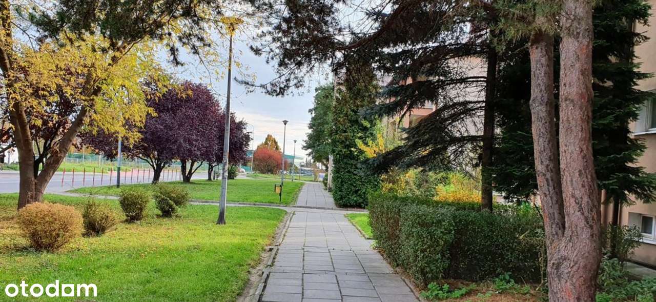 1 pokój|30m |nowoczesne|Bieżanów OKAZJA!-9