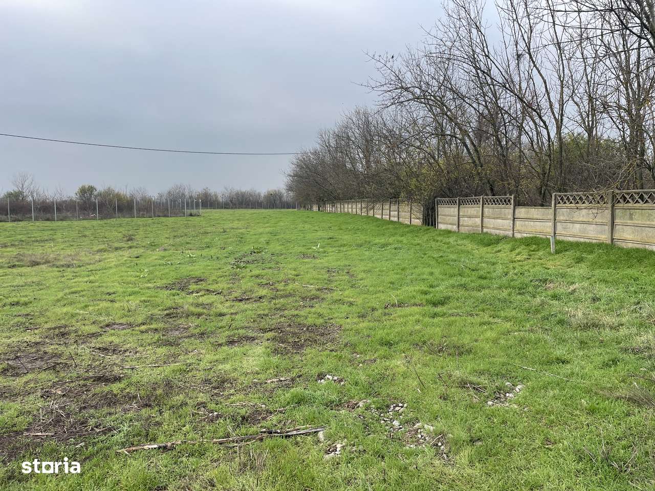 prelungirea ghencea nr 414b,strada floare galbena,-11