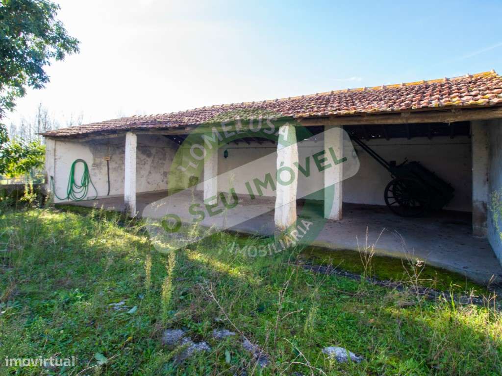 Terreno com viabilidade e autorização para loteamento! - Grande imagem: 4/37