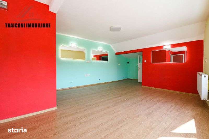 Cladire pensiune-restaurant cu hala si teren 7300mp, Faget ( Timis )-16