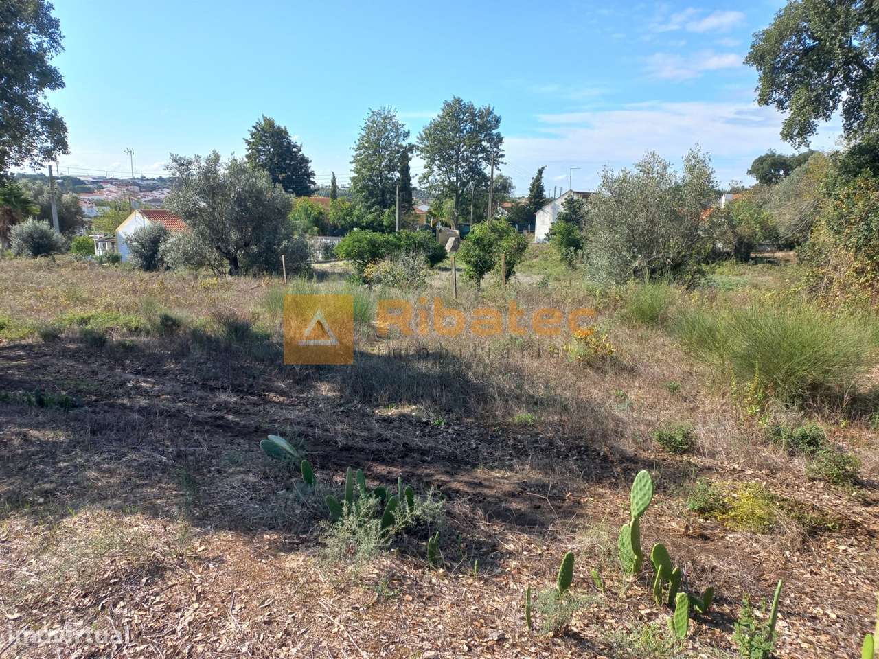 Terreno para construção em Coruche - Grande imagem: 5/11