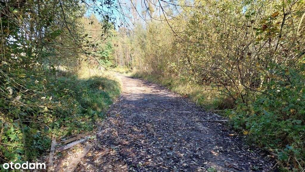 Działka z halą magazynową-8