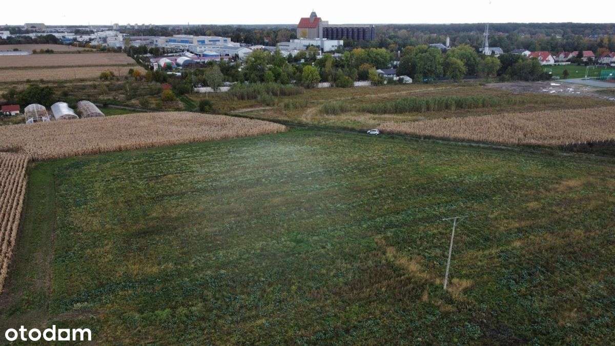 Działka z duzymi możliwościami w Ścinawie Polskiej - Pełny obrazek: 5/7