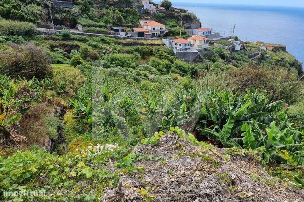 Terreno na Calheta.  Para Construção de moradias. vista mar - Grande imagem: 3/15