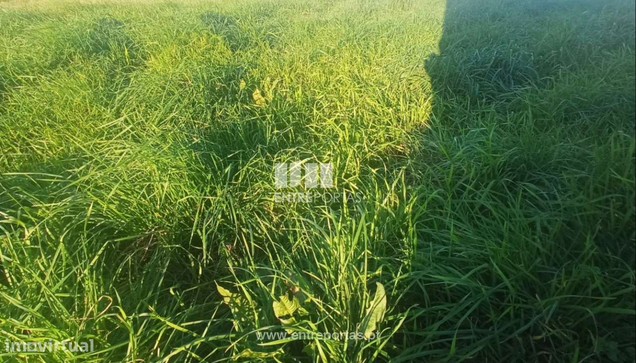 Venda de Terreno, Amorim, Póvoa de Varzim - Grande imagem: 5/21