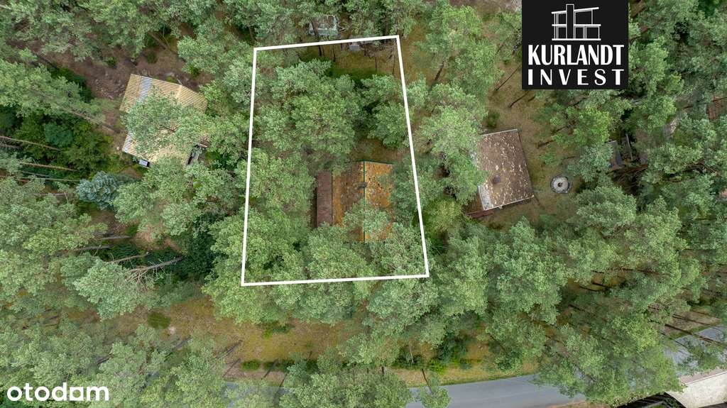 Dom w lesie 100 m od jeziora Bory Tucholskie - Pełny obrazek: 4/15