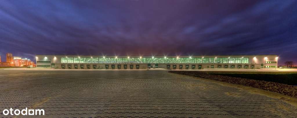 Magazyn 5 000m2, Bielany Wrocławskie - Pełny obrazek: 5/5