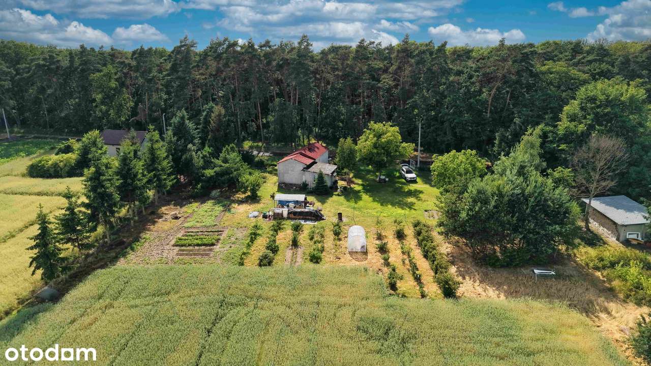 Dom, 68,68 m², Ościsłowo-5