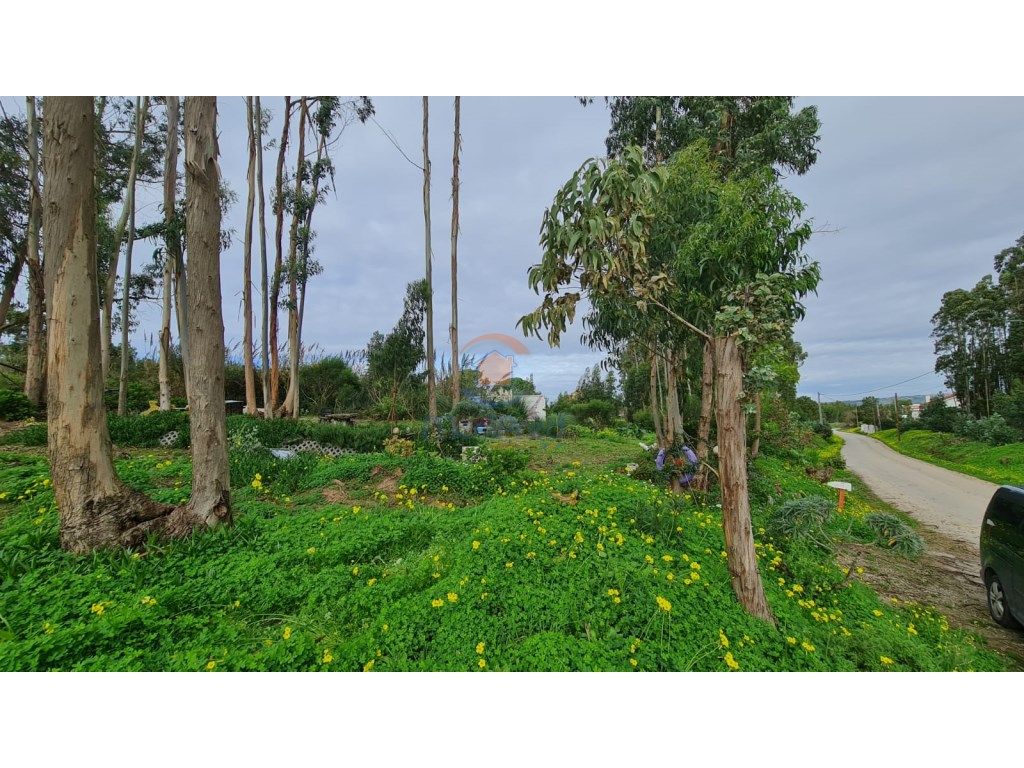 Terreno agrícola 2.000m2 em A dos Cun...