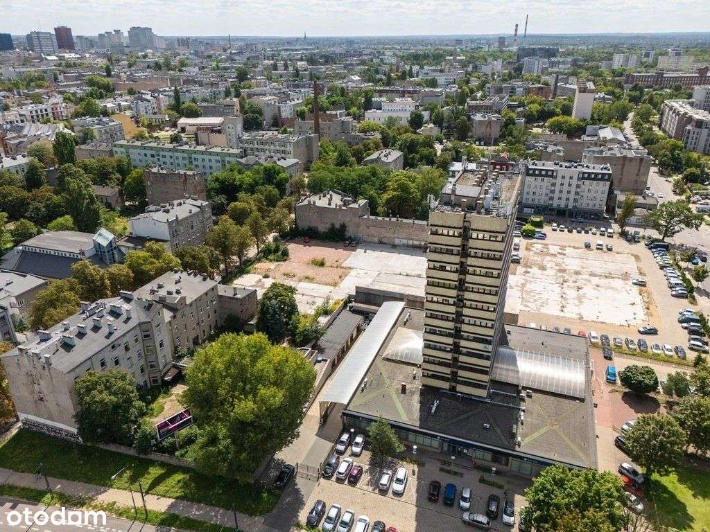 Żabka w centrum Łodzi-7