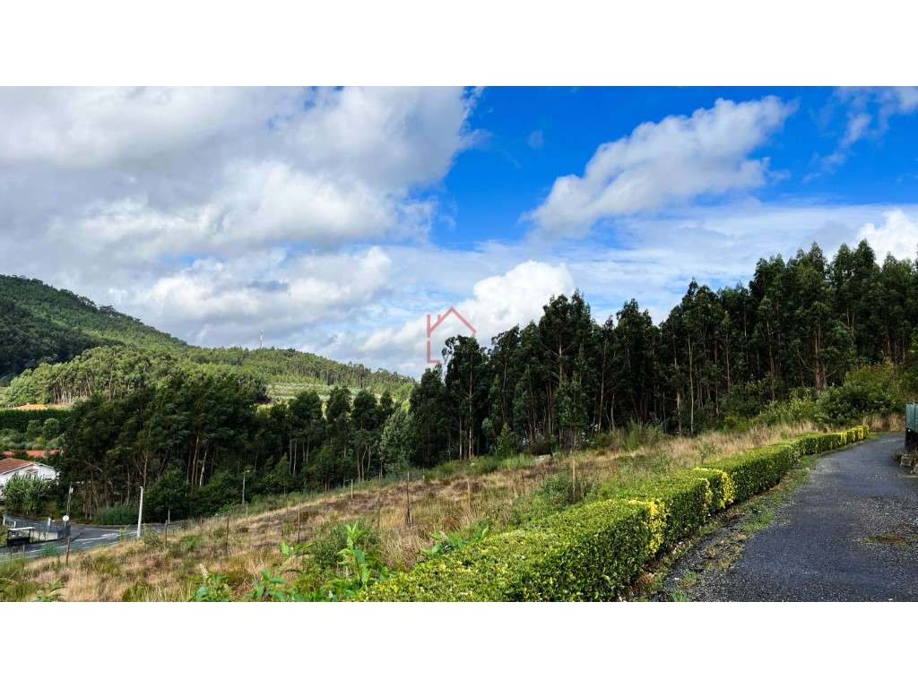 Terreno Leitões Guimarães - Grande imagem: 5/16