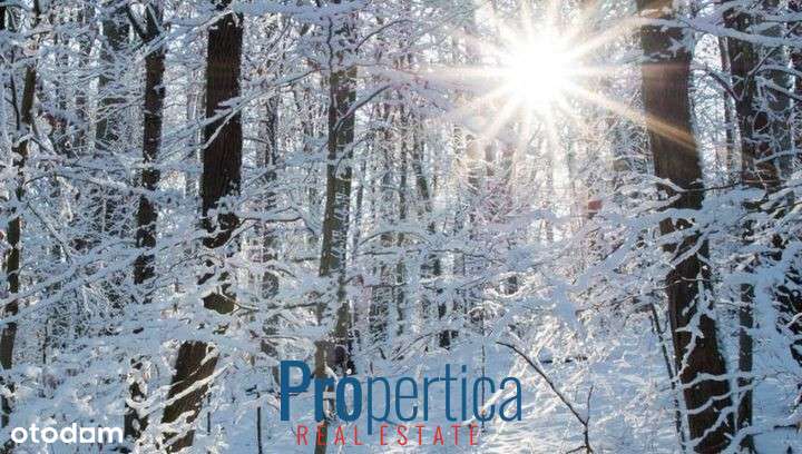 Zadbana Brda 50m od jeziora Omulew. Strefa ciszy. - Pełny obrazek: 5/18