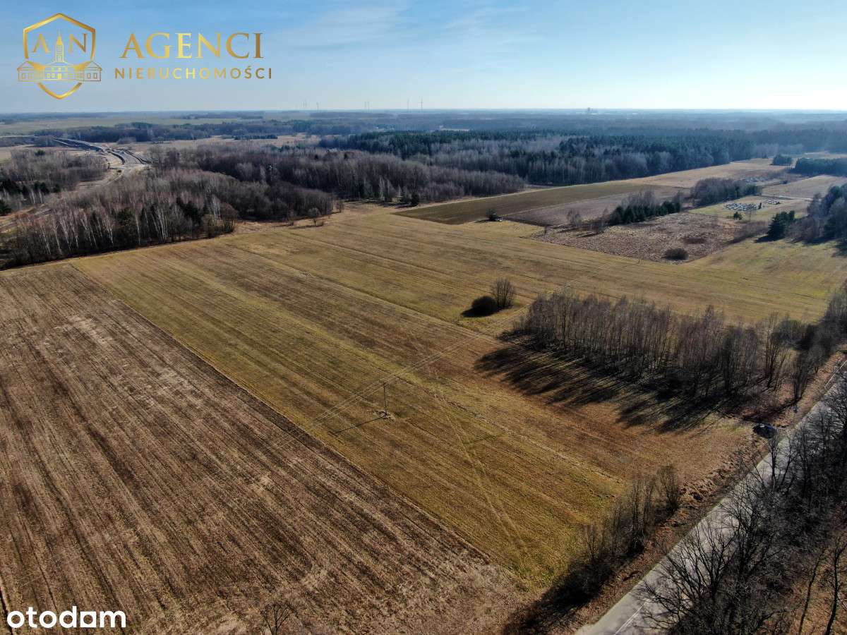 *przy Południowej Obwodnicy Bielska Podlaskiego* - Pełny obrazek: 4/4