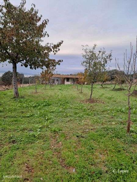 Vivenda Rústica/Moderna - Grande imagem: 4/10