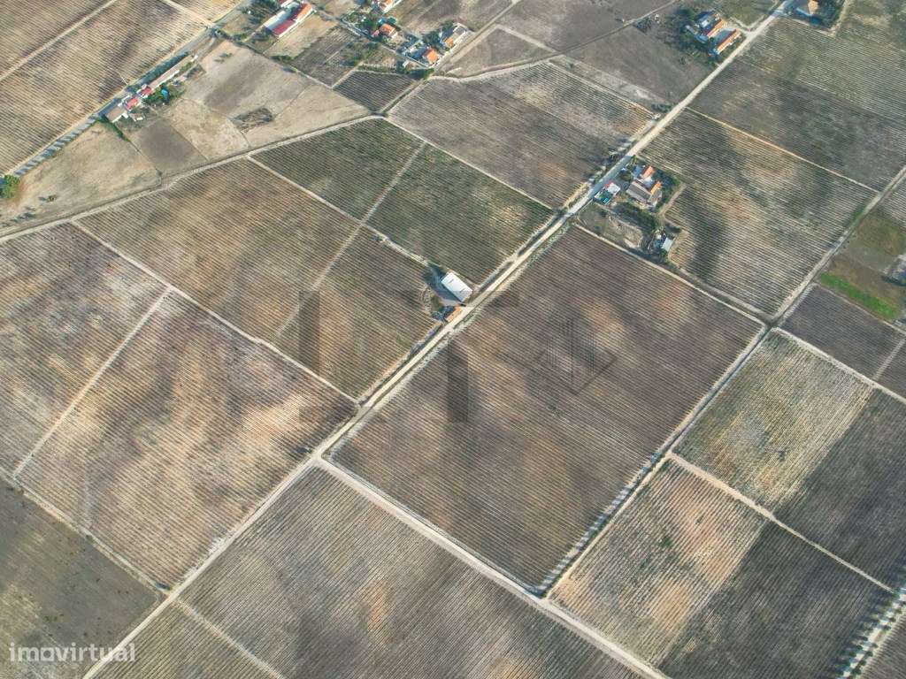 2 Terrenos / Vinha para Venda em Marateca, Palmela, Setúbal - Grande imagem: 5/33