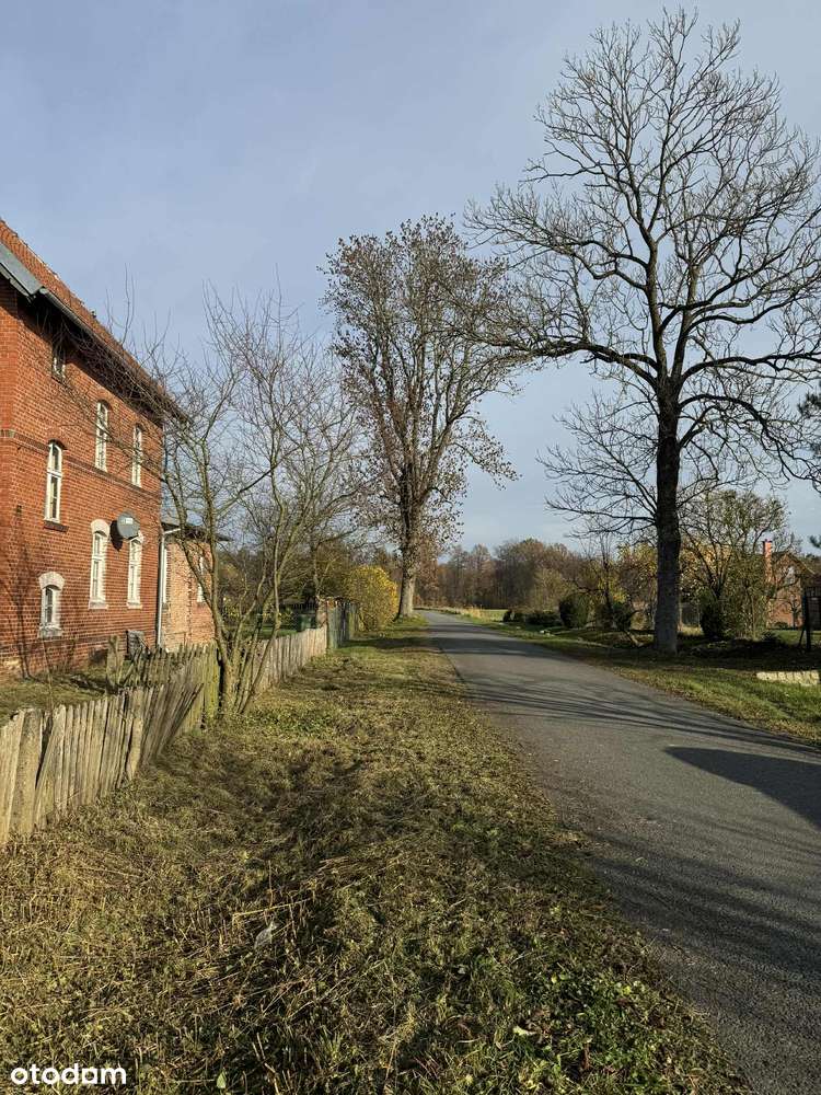 Dom, Stegny Gmina Pasłęk - Pełny obrazek: 4/20