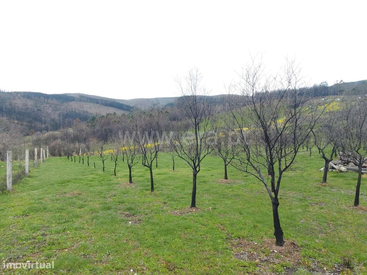 Quintinha T1 / Covilhã, Erada - Grande imagem: 4/16