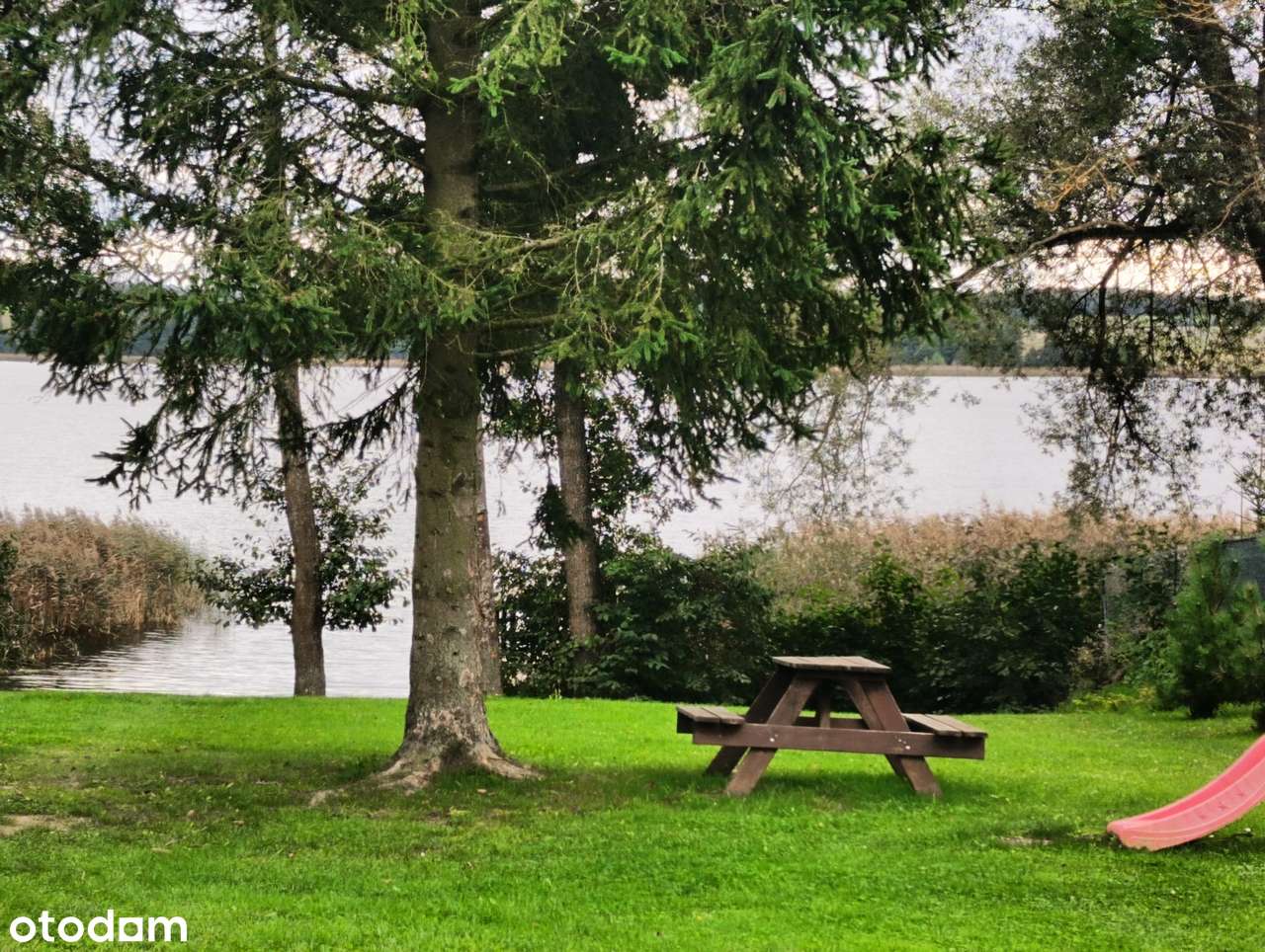 Atrakcyjna działka z domkami bezpośrednio nad jeziorem Mazury - Pełny obrazek: 4/17