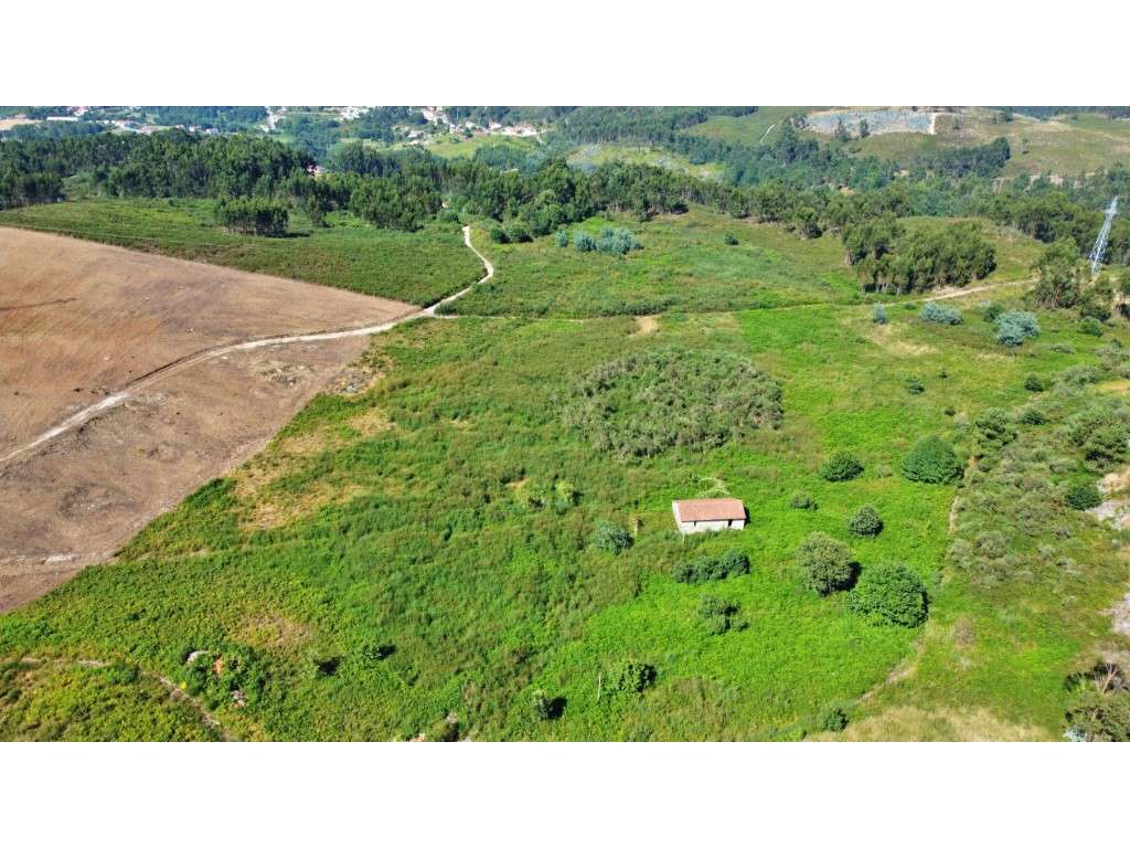 Terreno industrial em Lustosa - Grande imagem: 5/6