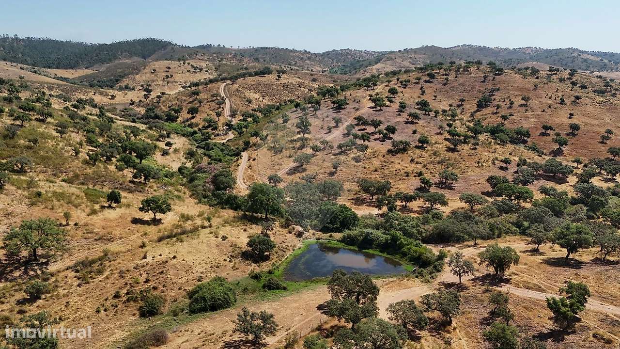 Quinta T4 para venda - Grande imagem: 5/9