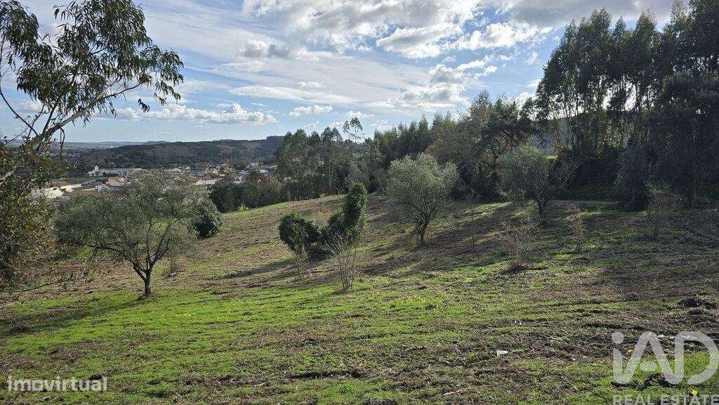 Terreno para construção em Lamas e Cercal - Grande imagem: 4/13