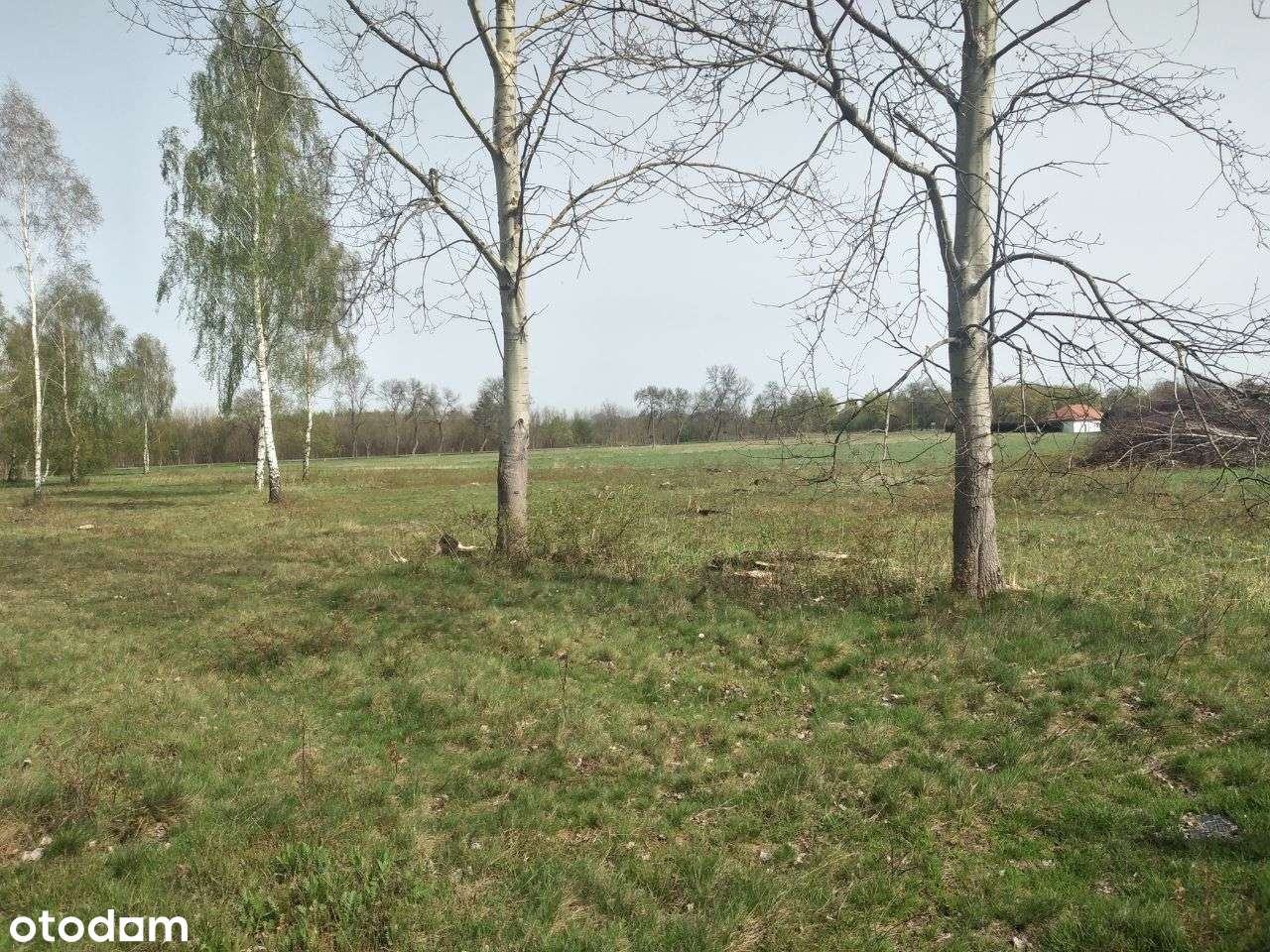 Działka inwestycyjna w m. Lipinki Łużyckie-9