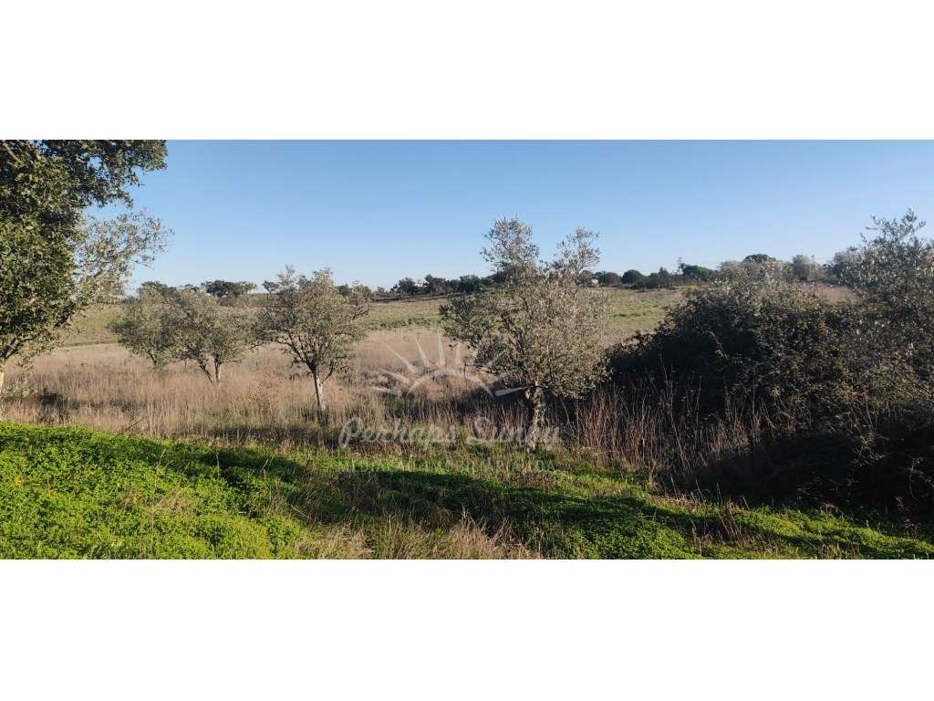TERRENO RÚSTICO PARA VENDA - UMA OPORTUNIDADE NA SERRA DE GRÂNDOLA-17