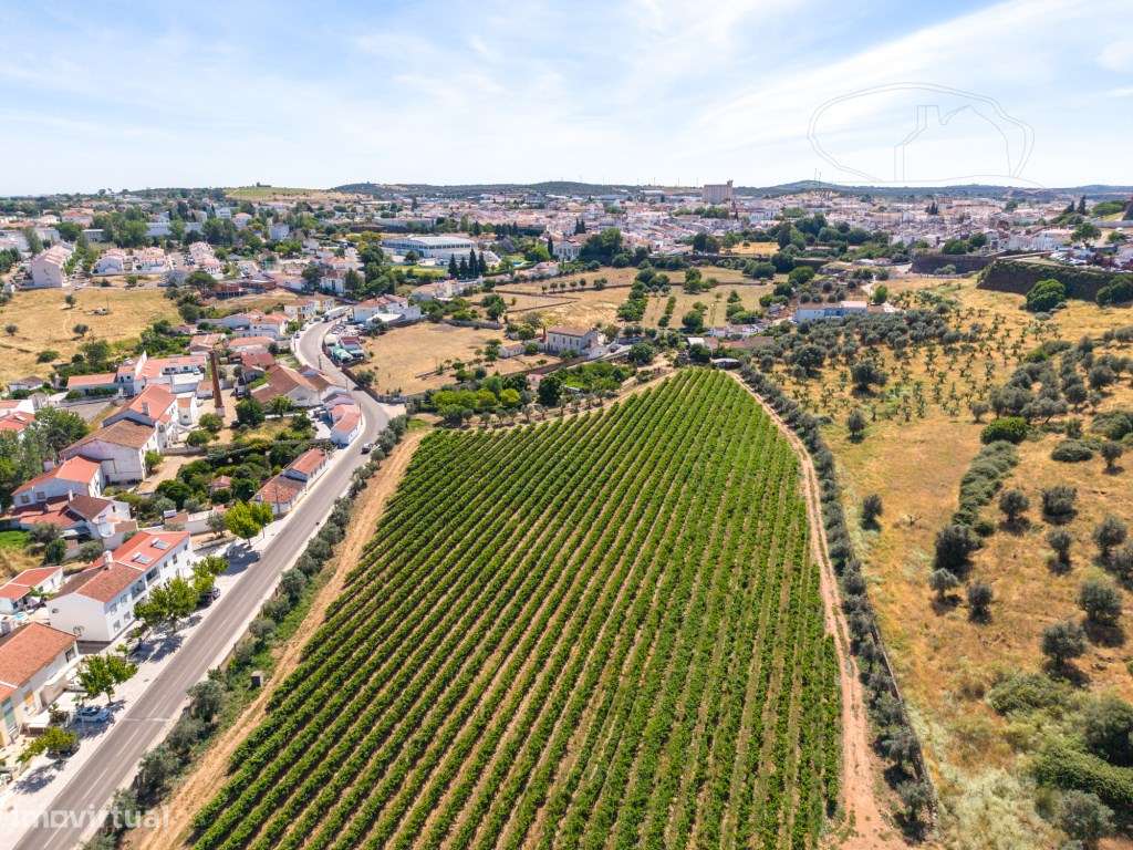 Quinta de São Miguel | Um Projeto Único junto ao Castelo de Estremo...-9