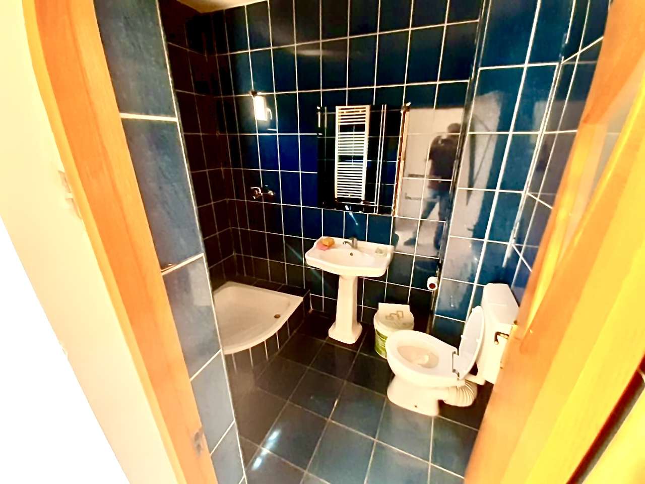 Vanzare casa Obor Făinării-11