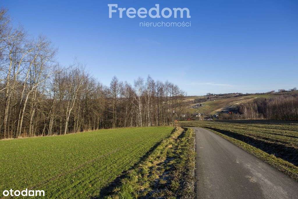 Zadrzewiona działka z widokiem – Błędowa Tycz-6