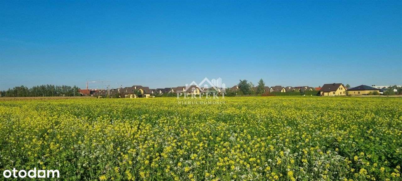 Działka 597m2 w okolicy ul.Bluszczowej/Słoneczniko - Pełny obrazek: 5/7