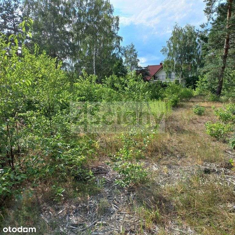 Działka leśna pod zabudowę rezydencyjną - Pełny obrazek: 4/8