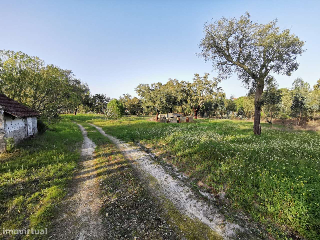 Moradia T2  Lamarosa de Coruche-44