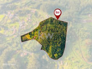 Oportunidade Imperdível de Investimento na Ilha da Madeira! - Grande imagem: 5/60