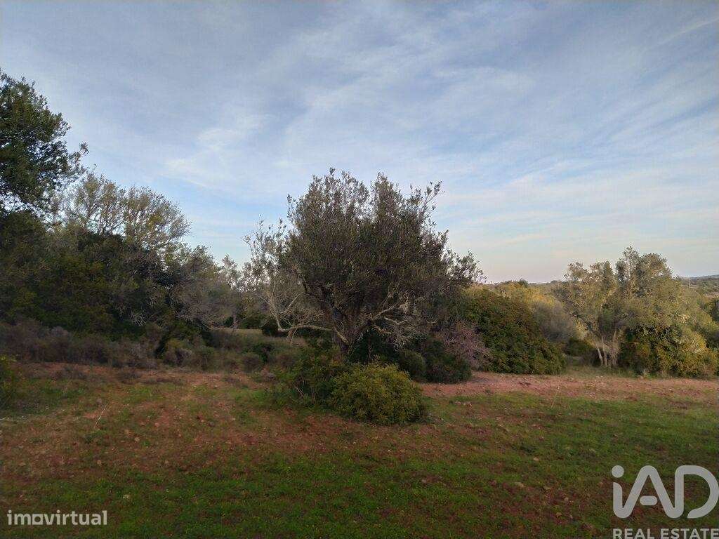 Terreno de Lazer em Barão de São Miguel de 12000,00 m2 - Grande imagem: 5/19