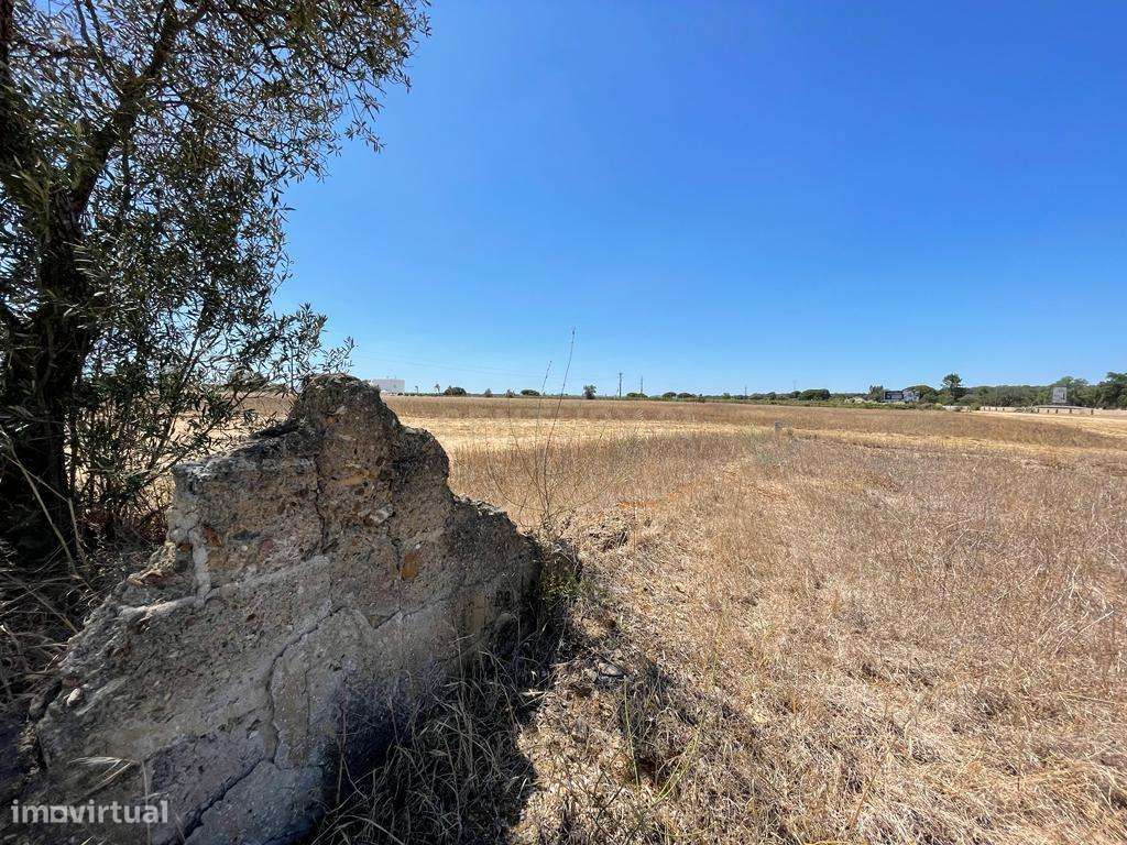 Terreno - Grande imagem: 3/23