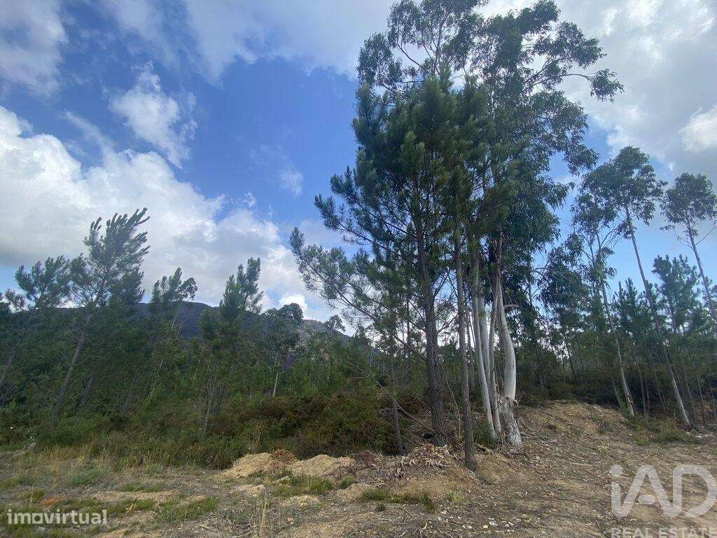 Terreno para construção em Sopo de 5000,00 m2 - Grande imagem: 5/23