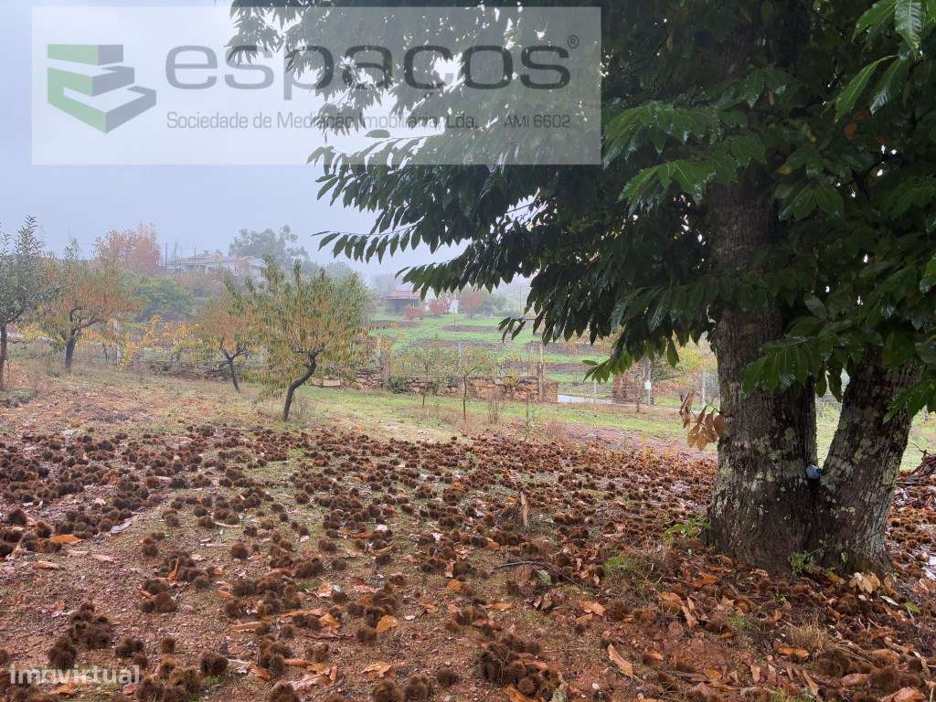 Quinta no Paul - Grande imagem: 4/25