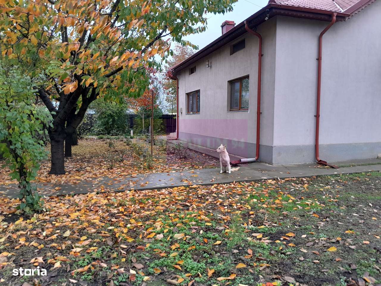 ISLAZ / IF - CASA P+1 (7 CAM) DE VANZARE - Imagine principală: 5/20