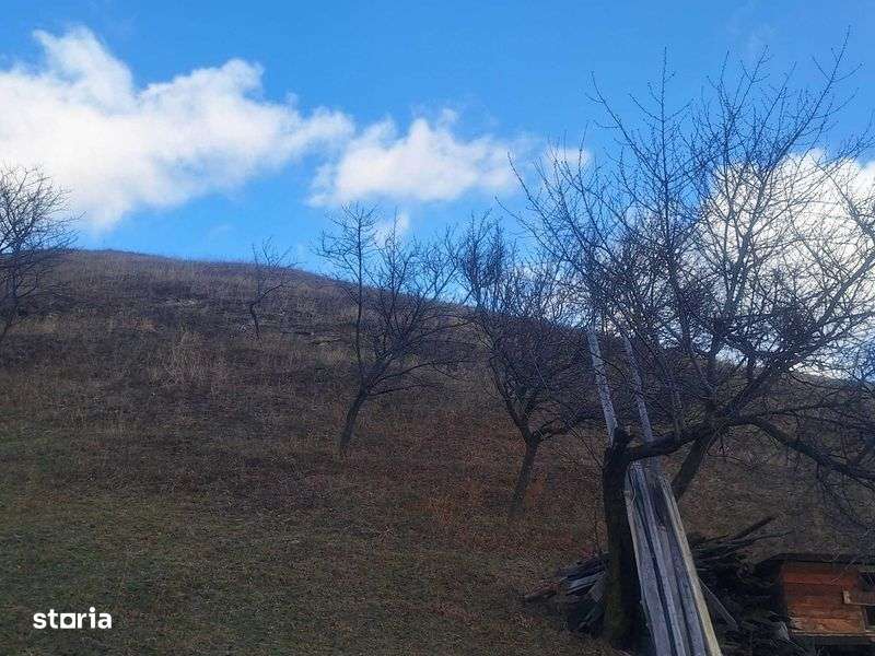 CASA DE VANZARE Paulesti Vrancea - Imagine principală: 5/8