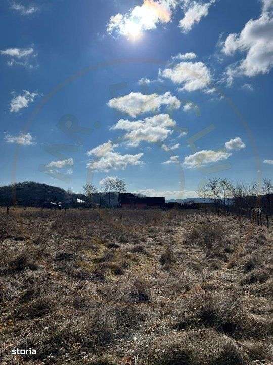 Teren Cicanesti Arges, la 10 KM de Transfagarasan - Comision 0% - Imagine principală: 3/4